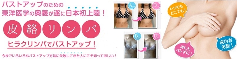 HIRAKU UP�痍�����p�Ńo�X�g�A�b�v���T�C�g